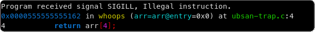 Pocket article: Undefined Behavior Sanitizer Trap on Error