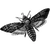 Kamen