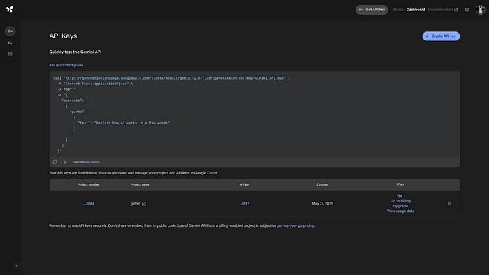 Google AI Studio API Key interface