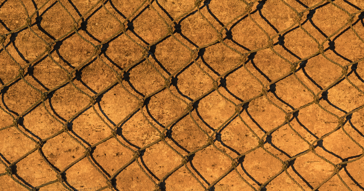 The dailyprog puzzle safety net