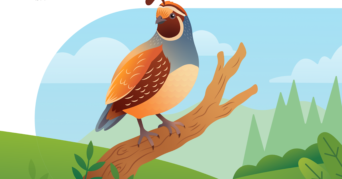 Android Studio Quail 2 is Stable: Multi-task with the Android Studio AI agent
